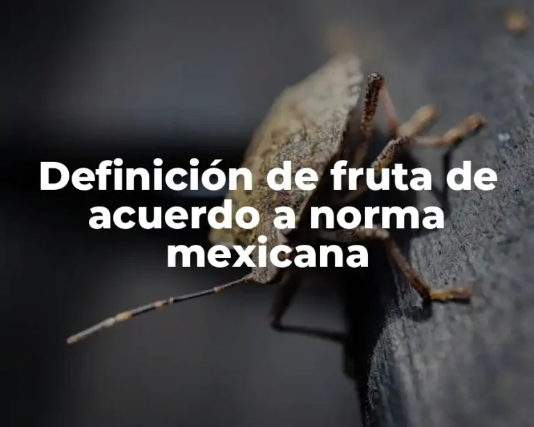 Definición de fruta de acuerdo a norma mexicana