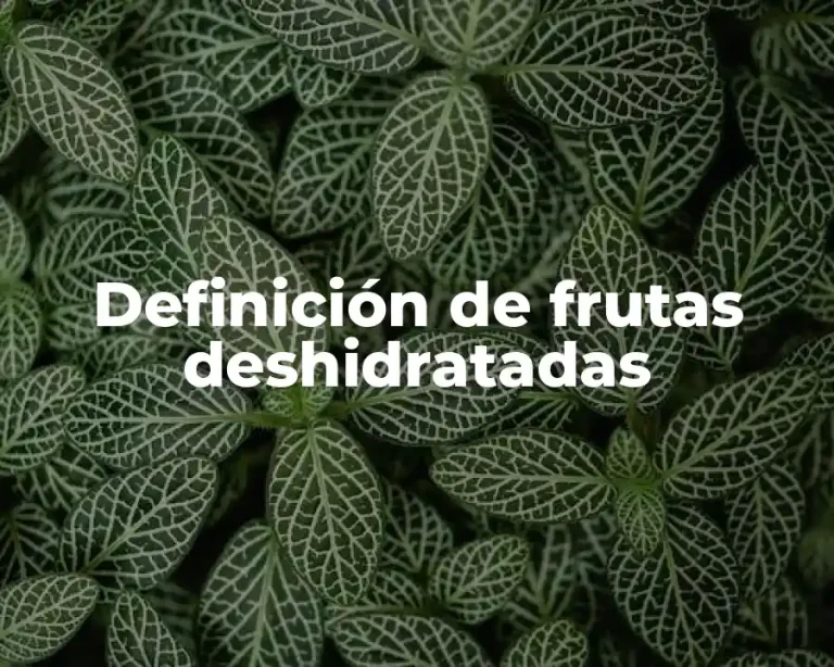 Definición de frutas deshidratadas