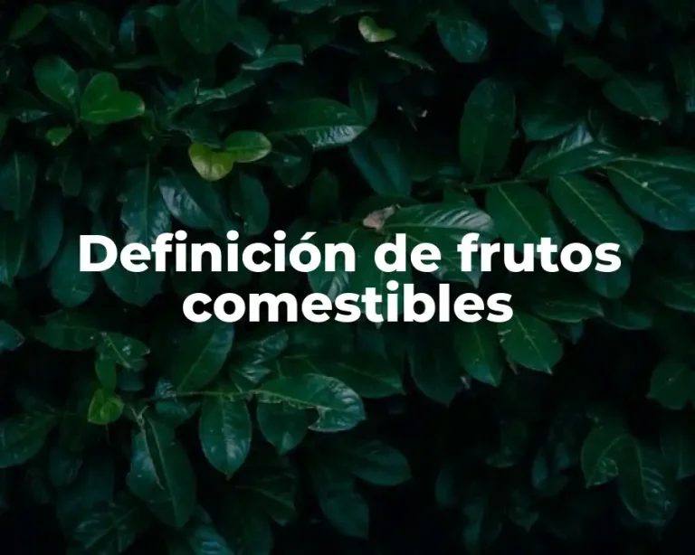 Definición de frutos comestibles
