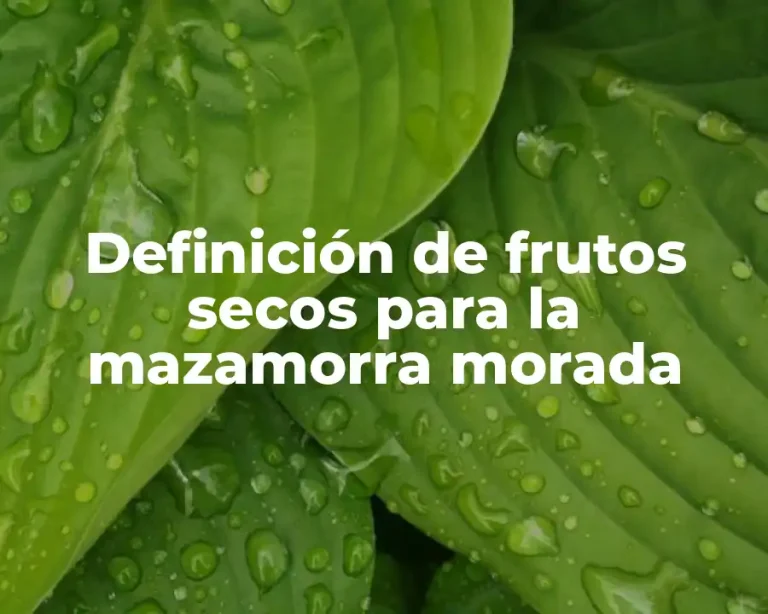Definición de frutos secos para la mazamorra morada