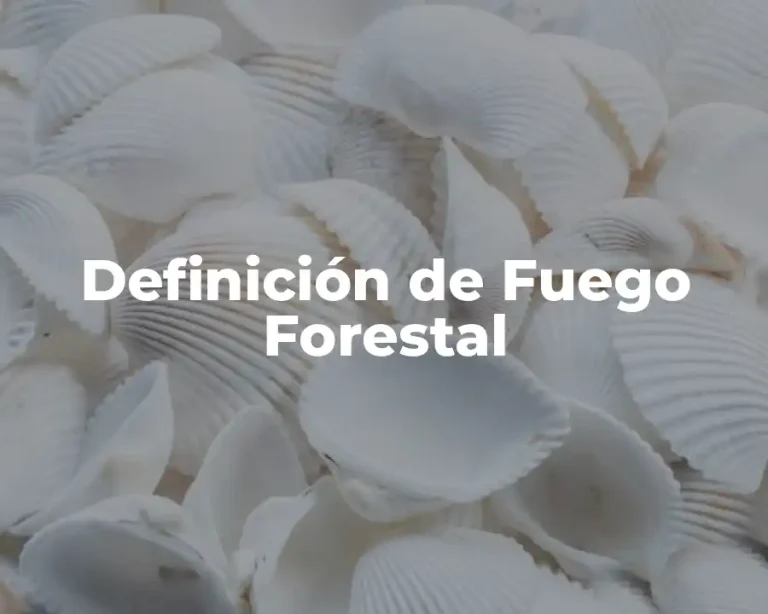Definición de Fuego Forestal