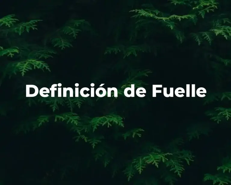 Definición de Fuelle