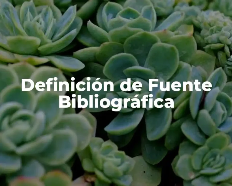 Definición de Fuente Bibliográfica