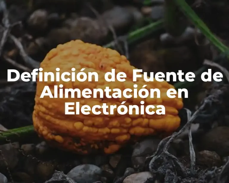 Definición de Fuente de Alimentación en Electrónica