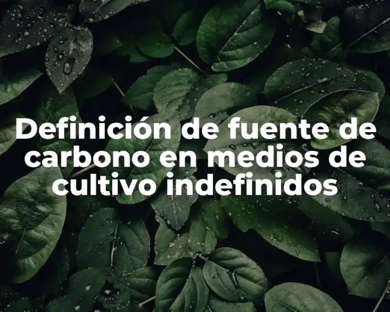 Definición de fuente de carbono en medios de cultivo indefinidos