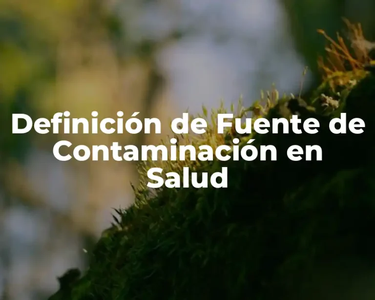 Definición de Fuente de Contaminación en Salud