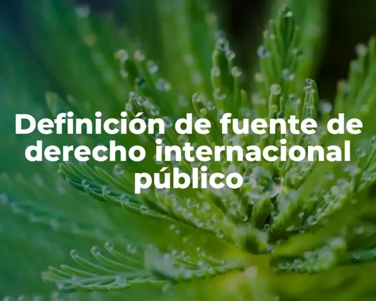 Definición de fuente de derecho internacional público