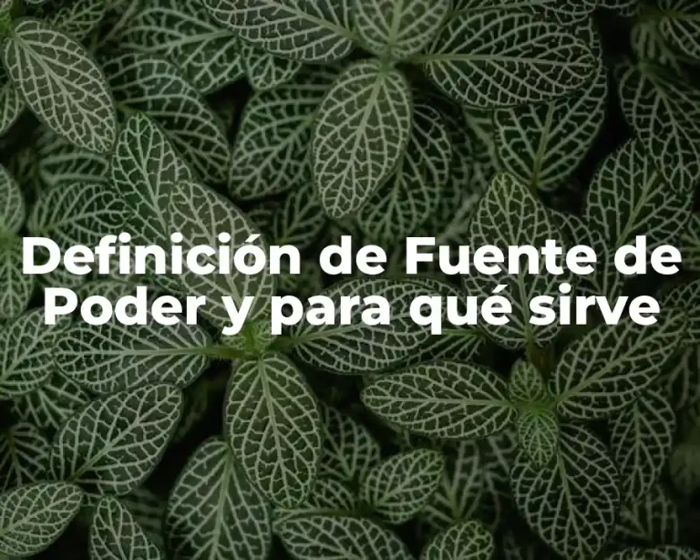 Definición de Fuente de Poder y para qué sirve