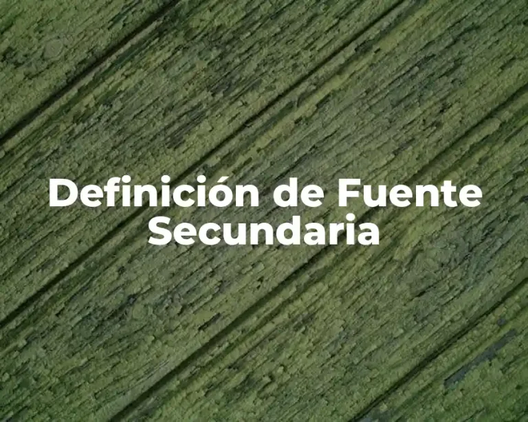 Definición de Fuente Secundaria