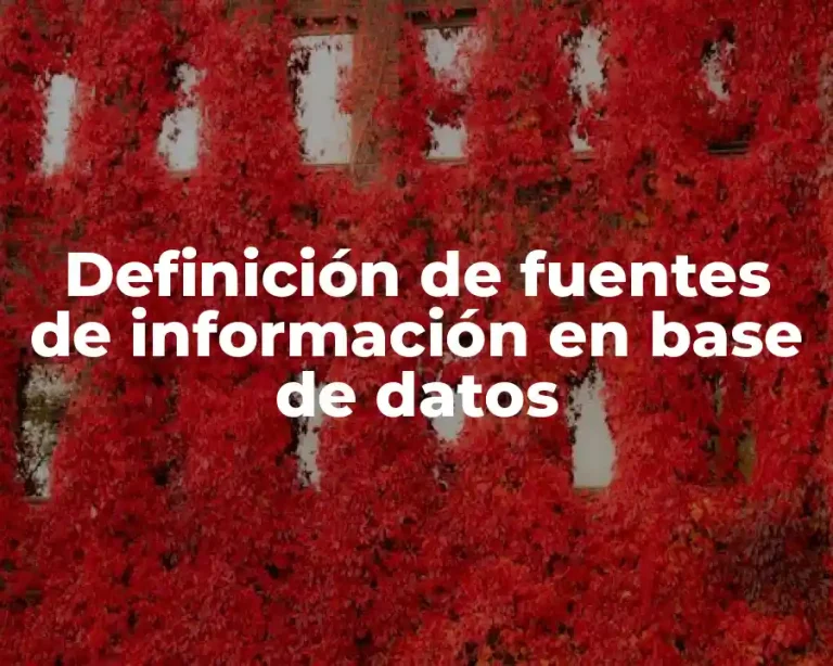 Definición de fuentes de información en base de datos
