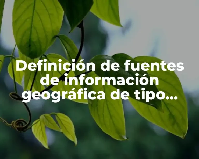 Definición de fuentes de información geográfica de tipo gráfico