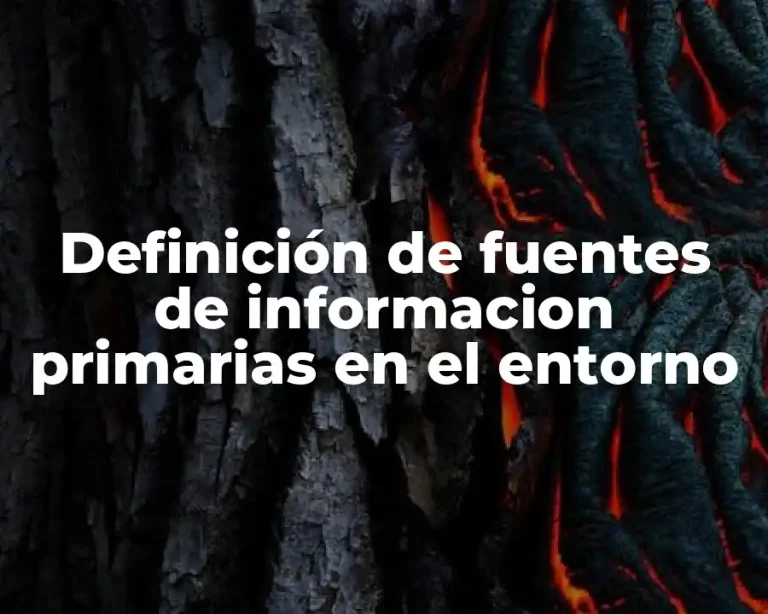 Definición de fuentes de informacion primarias en el entorno