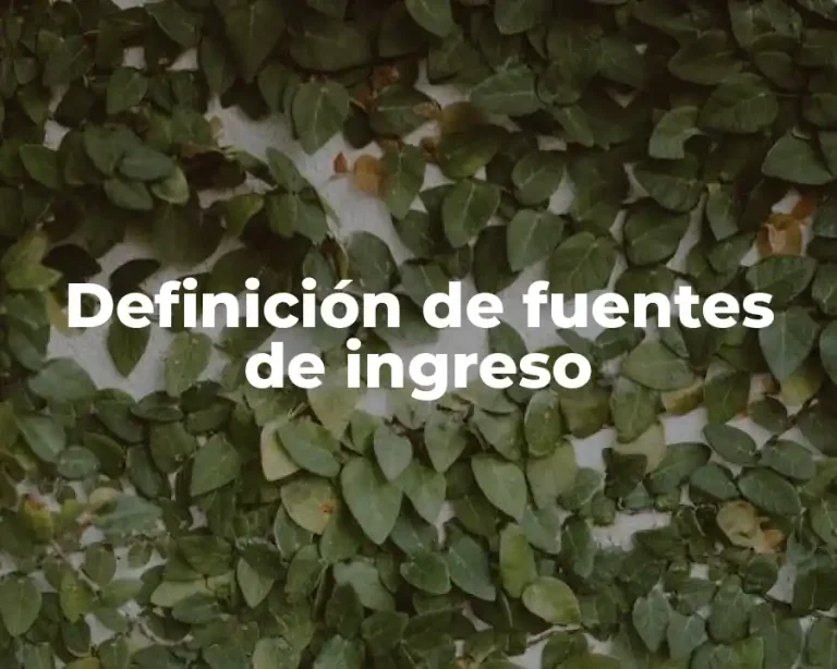 Definición de fuentes de ingreso