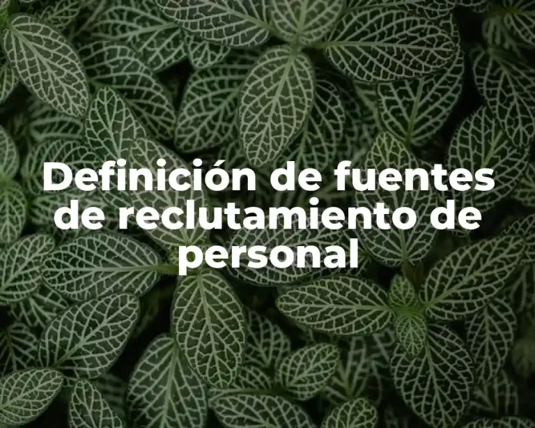 Definición de fuentes de reclutamiento de personal