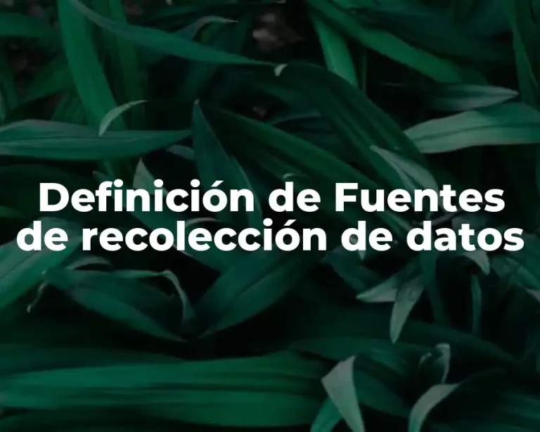 Definición de Fuentes de recolección de datos