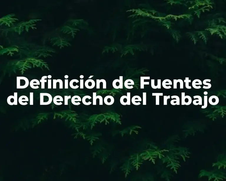 Definición de Fuentes del Derecho del Trabajo