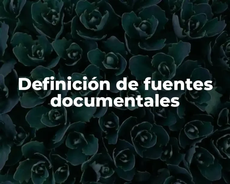 Definición de fuentes documentales