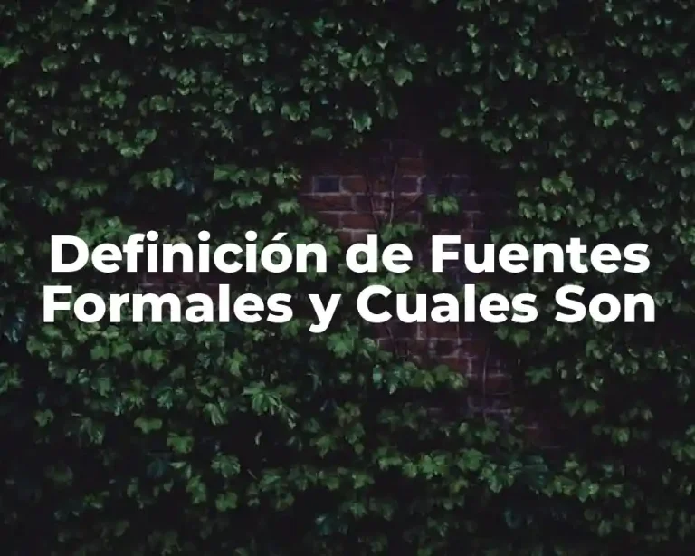 Definición de Fuentes Formales y Cuales Son