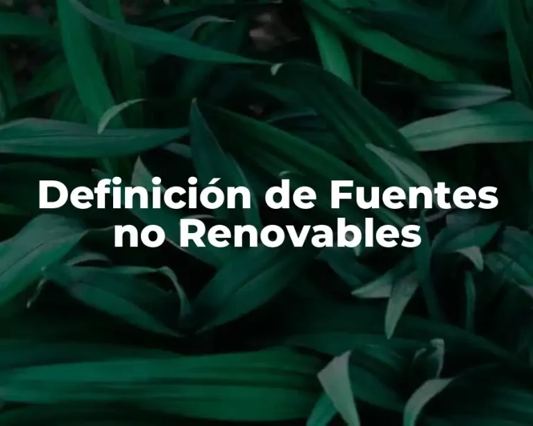 Definición de Fuentes no Renovables
