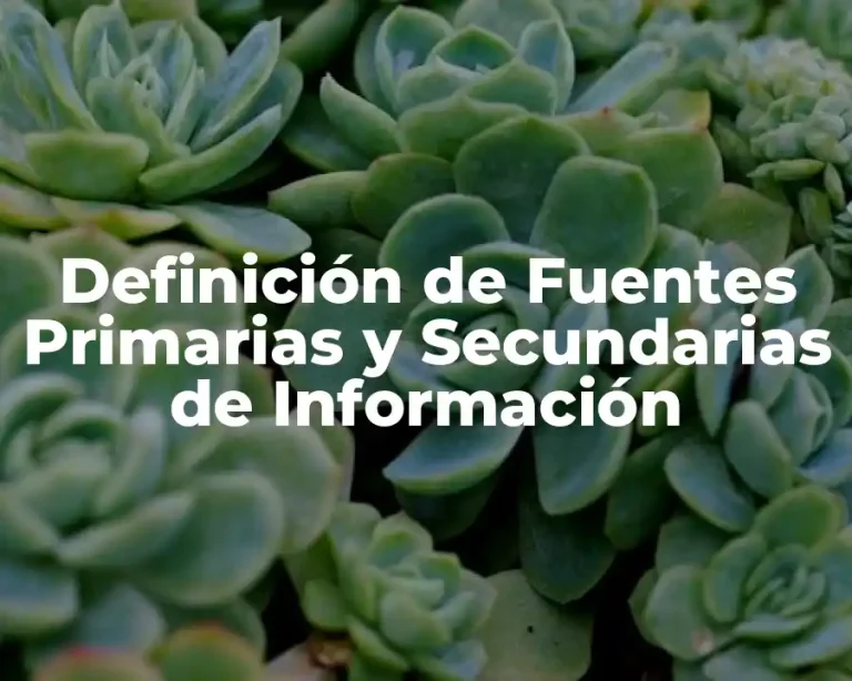 Definición de Fuentes Primarias y Secundarias de Información