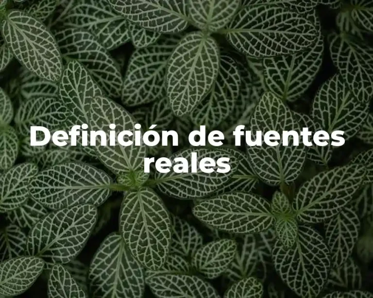 Definición de fuentes reales