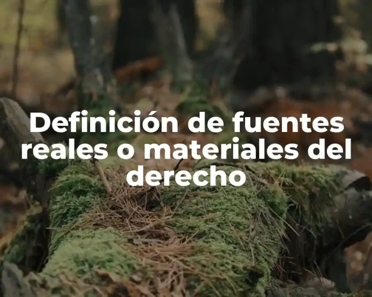 Definición de fuentes reales o materiales del derecho