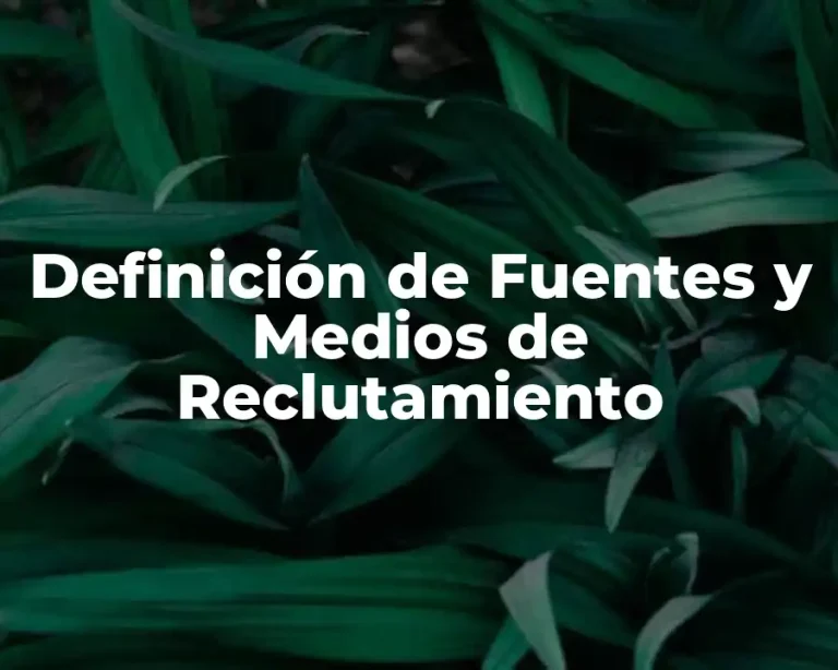Definición de Fuentes y Medios de Reclutamiento