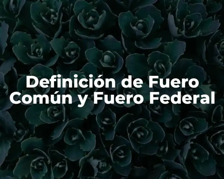Definición de Fuero Común y Fuero Federal