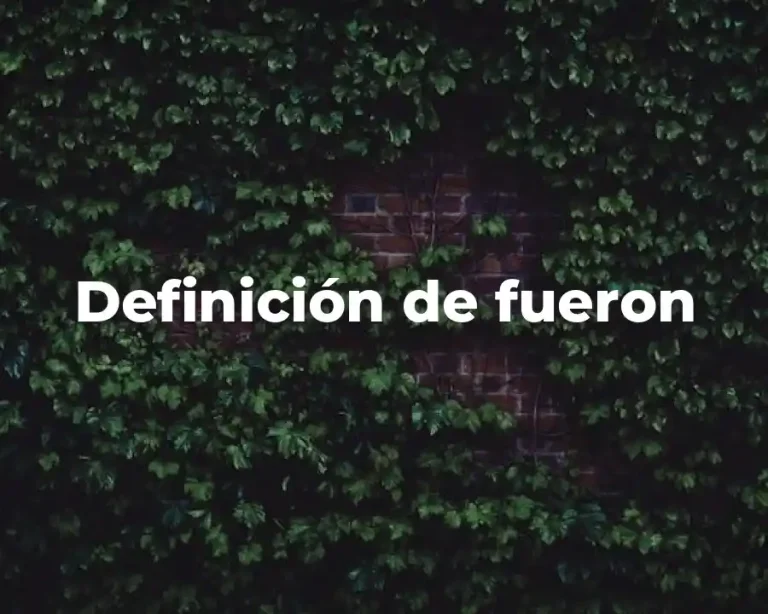 Definición de fueron