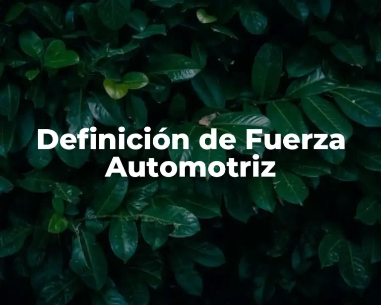 Definición de Fuerza Automotriz