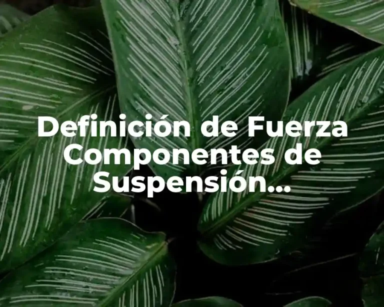 Definición de Fuerza Componentes de Suspensión Transmisores