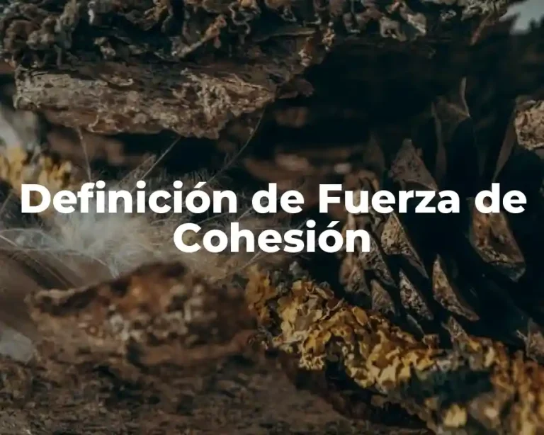 Definición de Fuerza de Cohesión