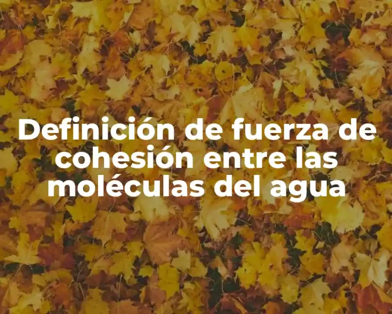 Definición de fuerza de cohesión entre las moléculas del agua