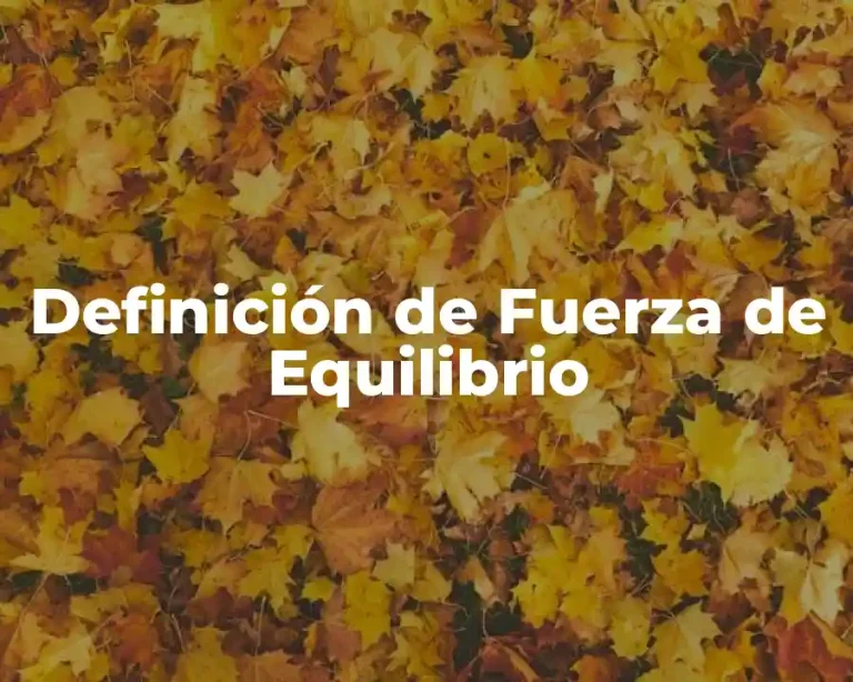 Definición de Fuerza de Equilibrio