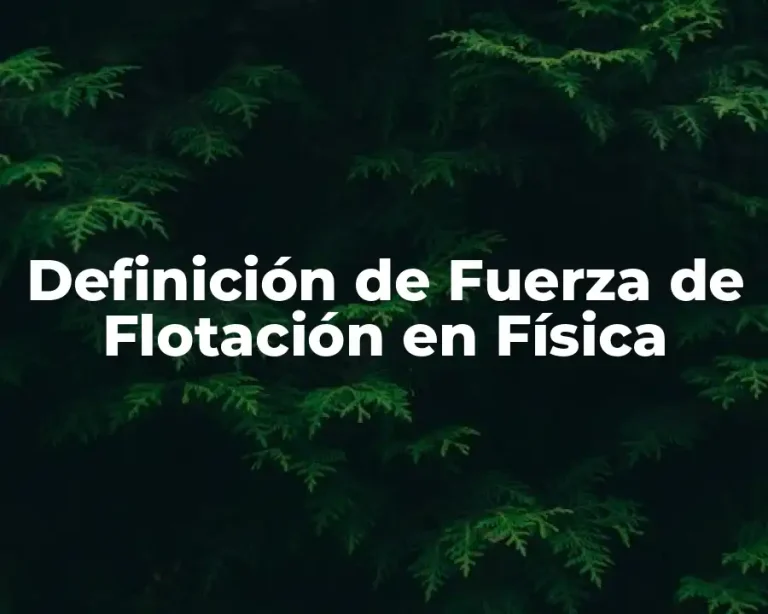 Definición de Fuerza de Flotación en Física