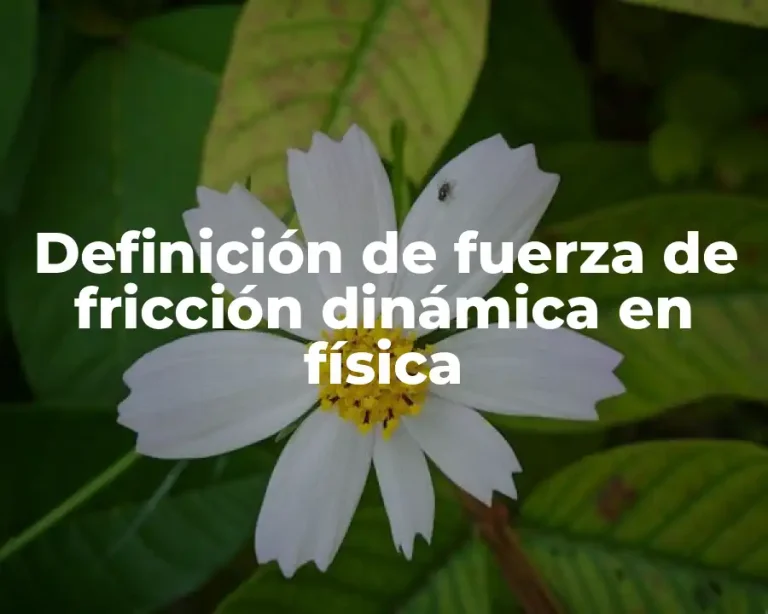 Definición de fuerza de fricción dinámica en física