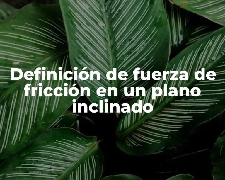 Definición de fuerza de fricción en un plano inclinado