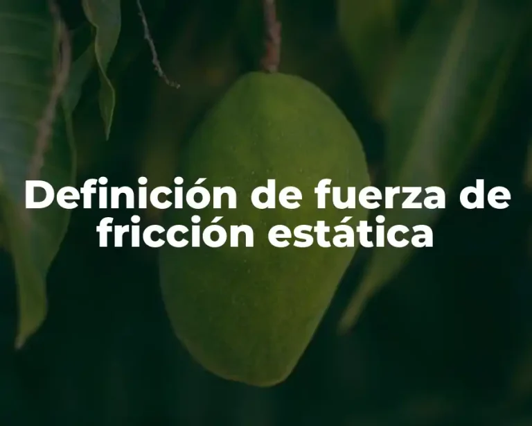 Definición de fuerza de fricción estática