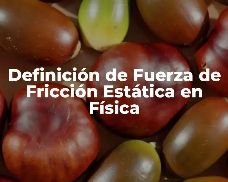 Definición de Fuerza de Fricción Estática en Física