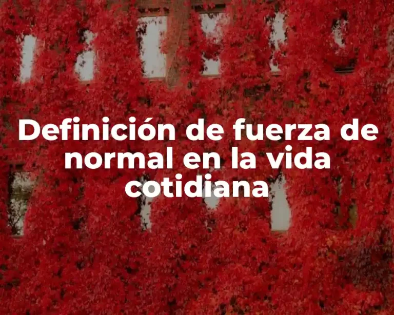 Definición de fuerza de normal en la vida cotidiana