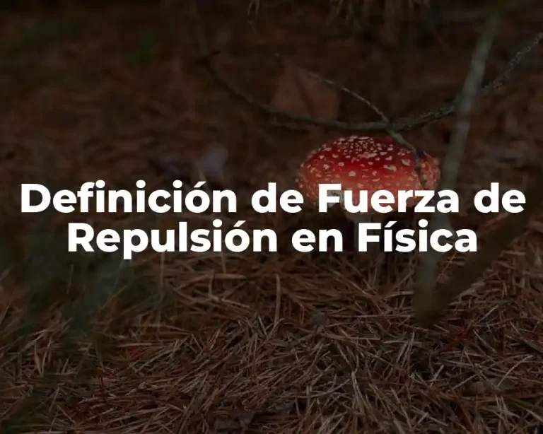 Definición de Fuerza de Repulsión en Física