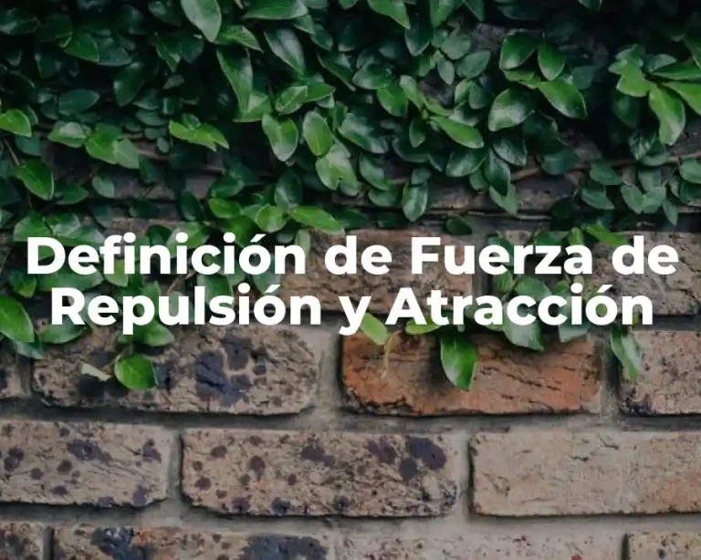 Definición de Fuerza de Repulsión y Atracción