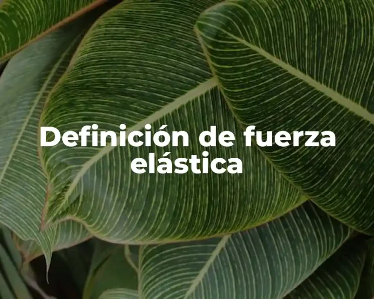 Definición de fuerza elástica