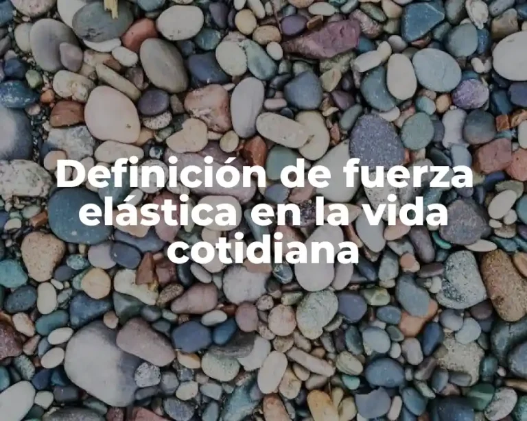 Definición de fuerza elástica en la vida cotidiana