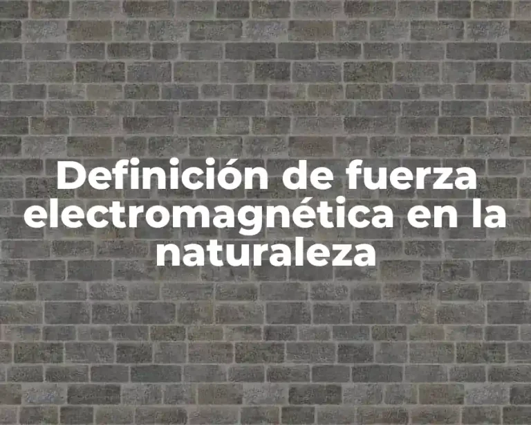 Definición de fuerza electromagnética en la naturaleza