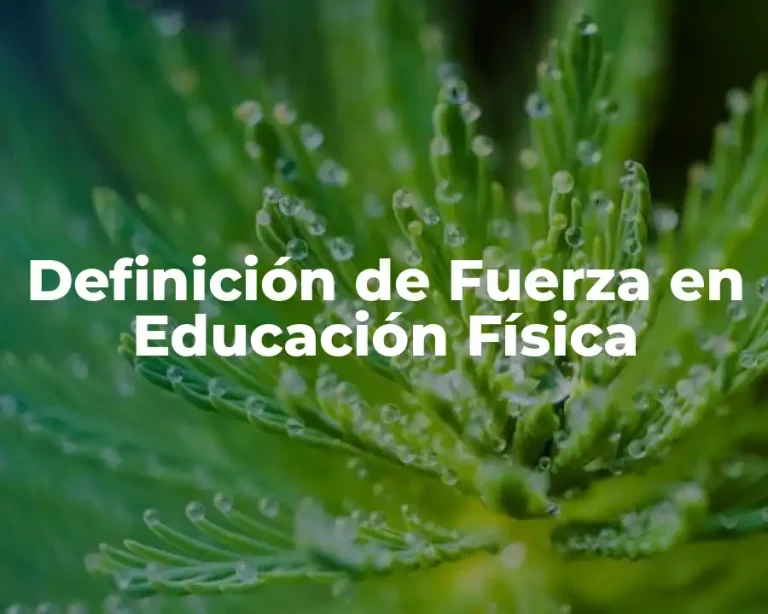 Definición de Fuerza en Educación Física