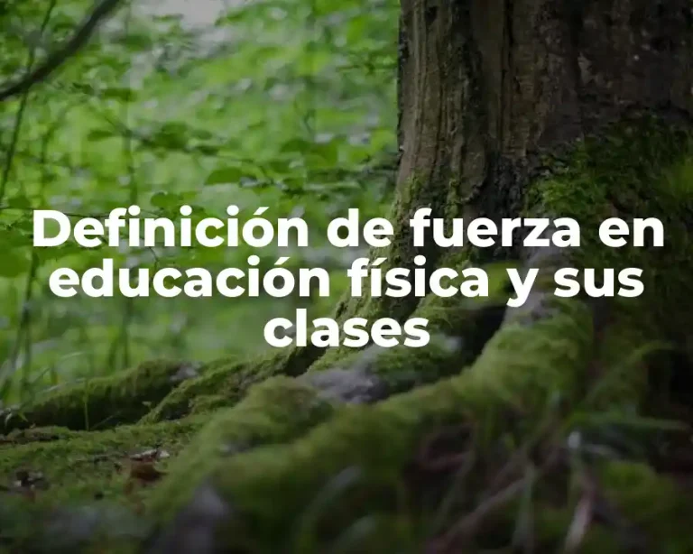 Definición de fuerza en educación física y sus clases