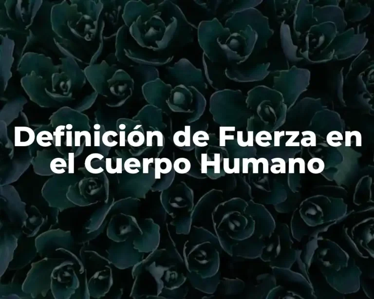 Definición de Fuerza en el Cuerpo Humano