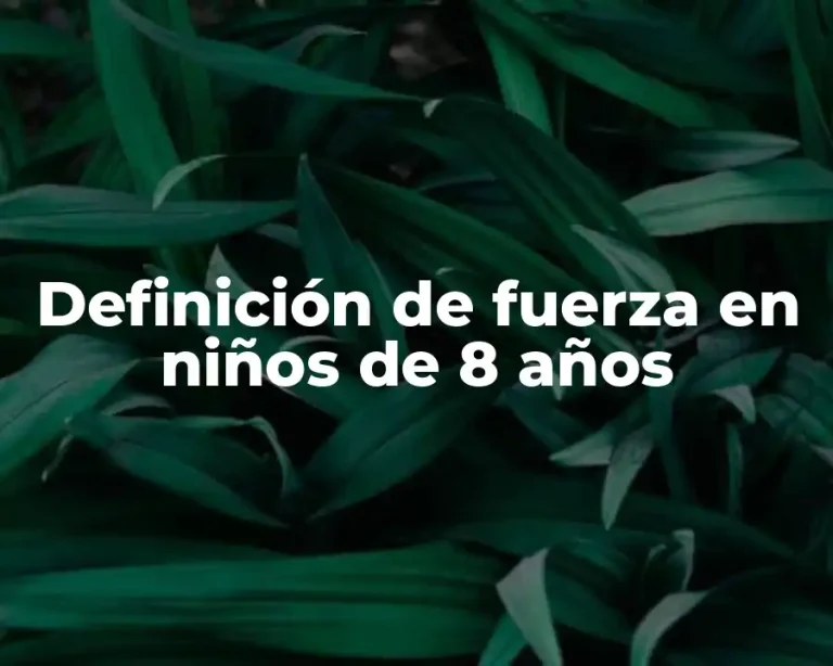 Definición de fuerza en niños de 8 años