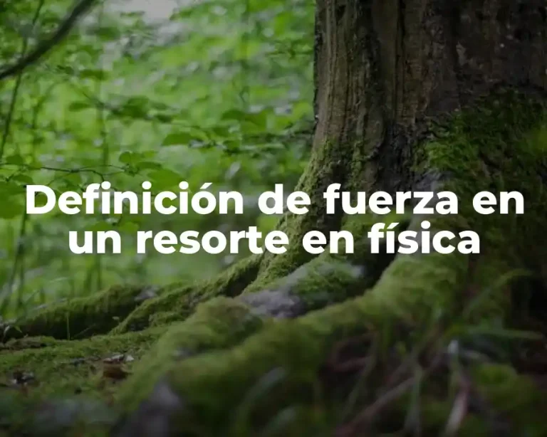 Definición de fuerza en un resorte en física